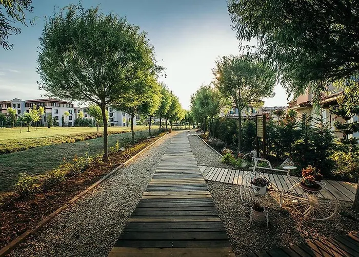 Line * Созополь